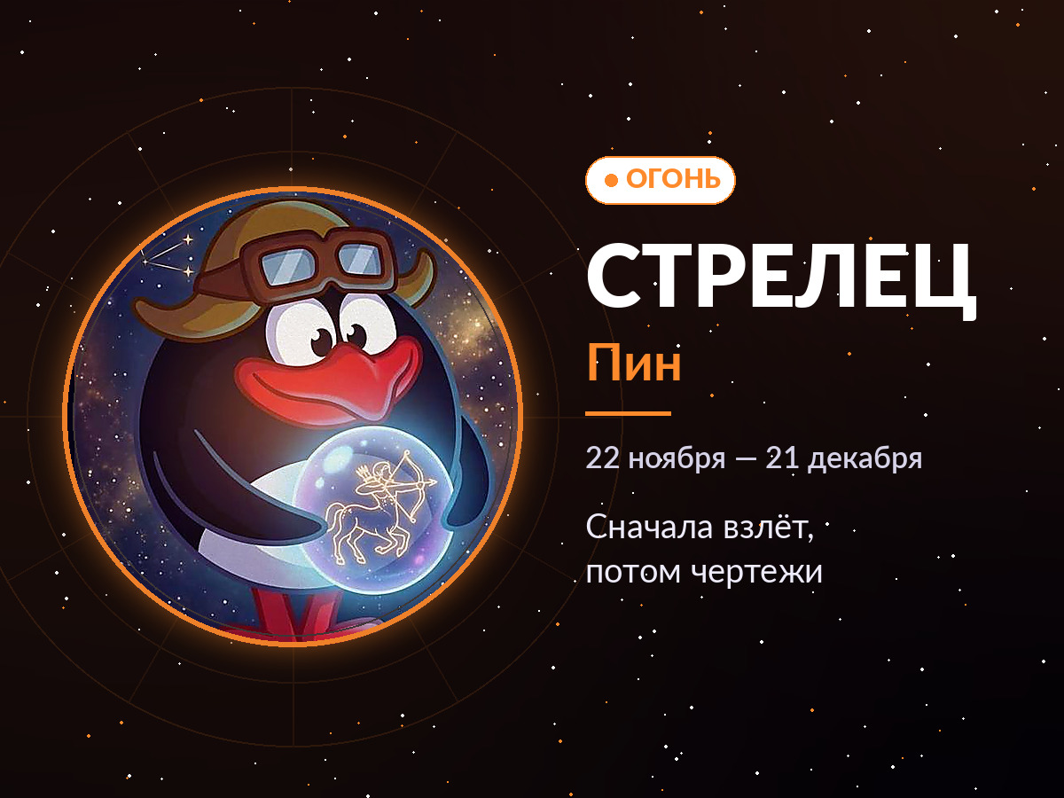 Стрелец — Пин: сначала взлёт, потом чертежи